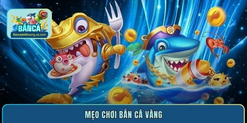 Bật mí mẹo chơi bắn cá Vàng hiệu quả thắng lớn mỗi ngày
