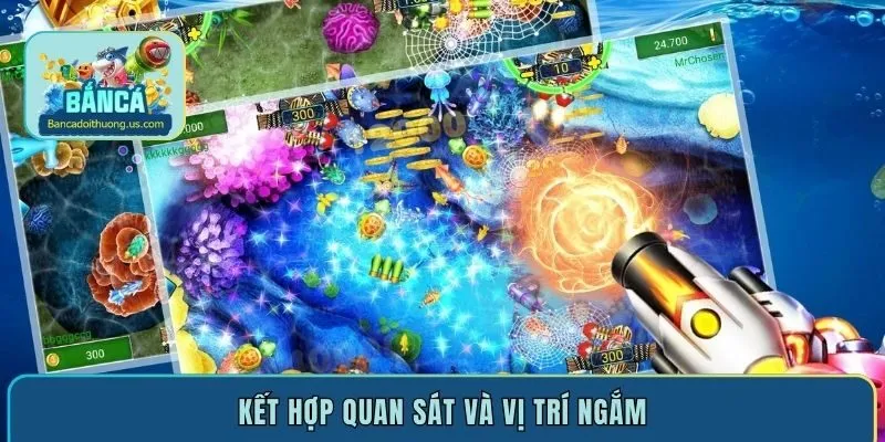 Kết hợp quan sát và vị trí ngắm