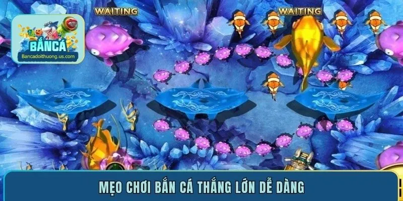 Mẹo chơi bắn cá thắng lớn dễ dàng