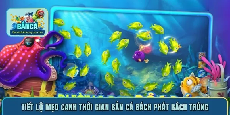 Tiết lộ mẹo canh thời gian bắn cá bách phát bách trúng